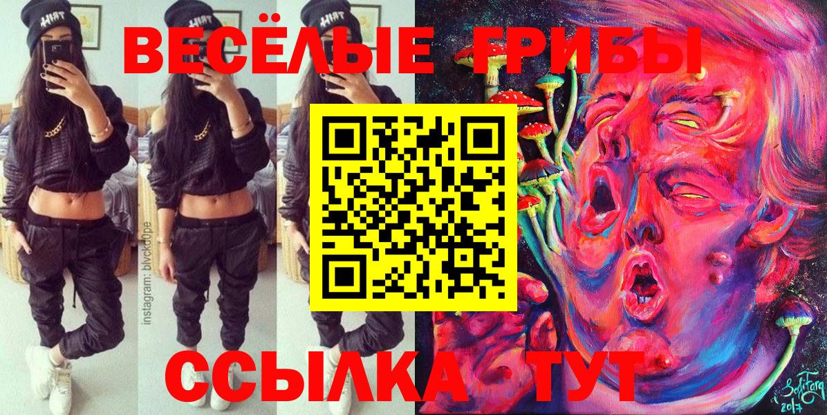 Галлюциногенные грибы Psilocybe Анжеро-Судженск